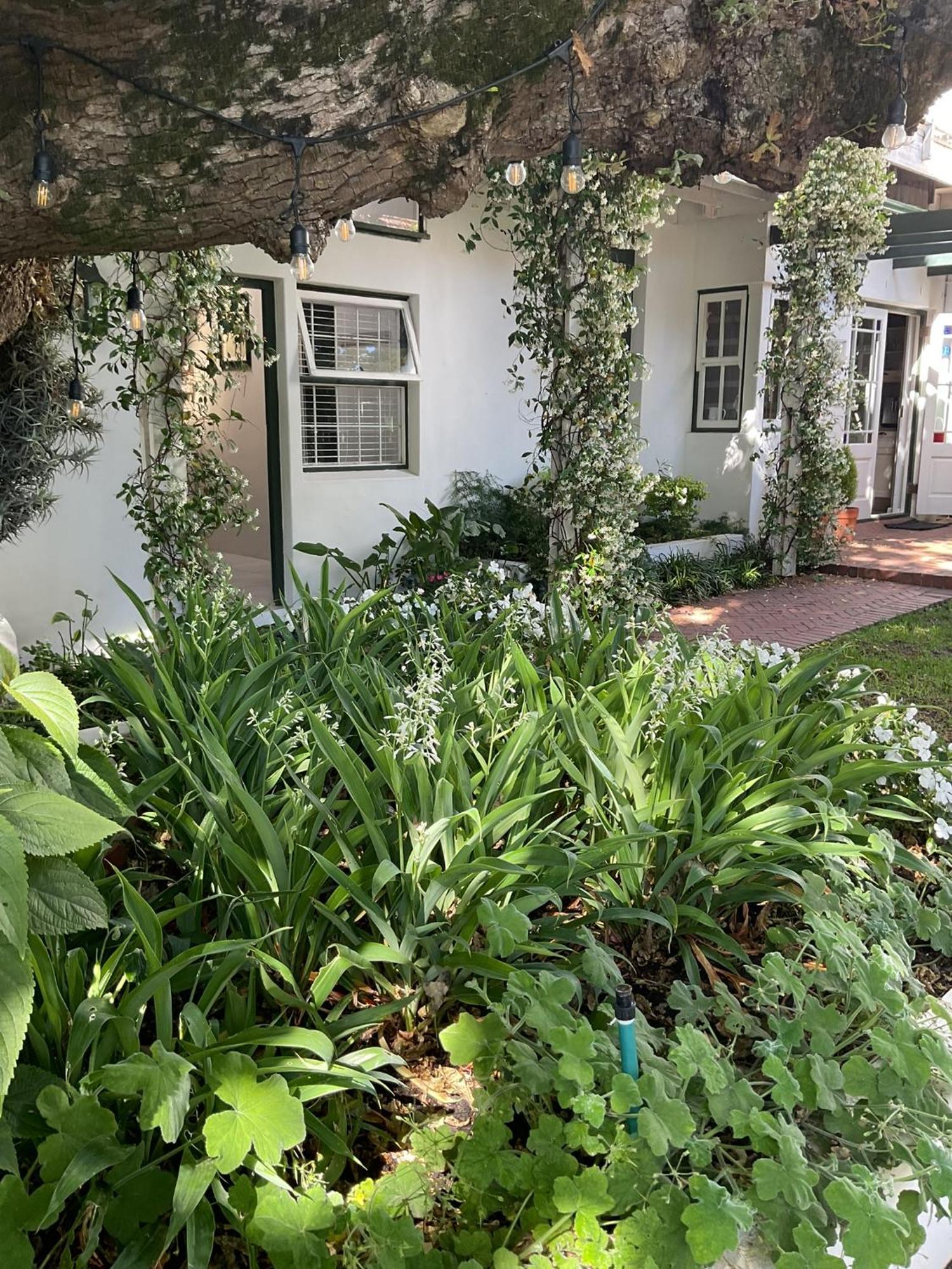 Sandown Lodge Kapstaden Eksteriør billede